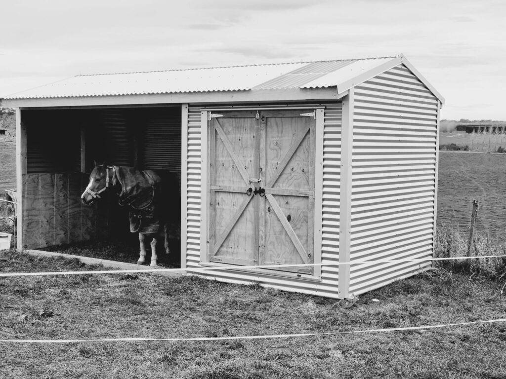 Horse Shelters for Sale