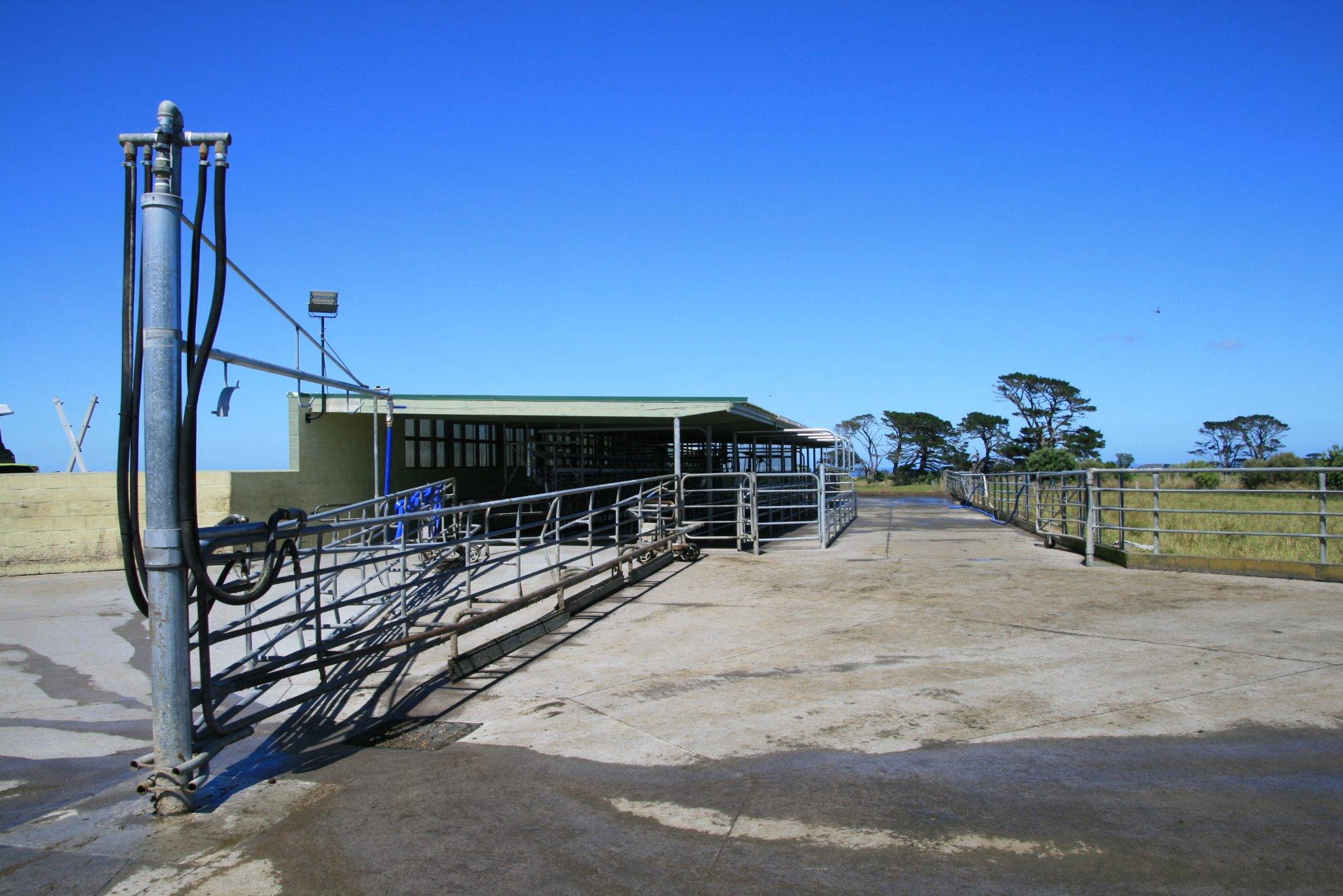 Farms for Sale Taranaki