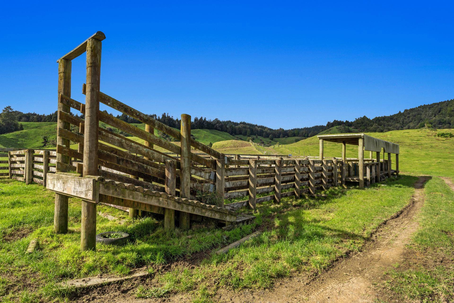 Farms for Sale Bay of Plenty