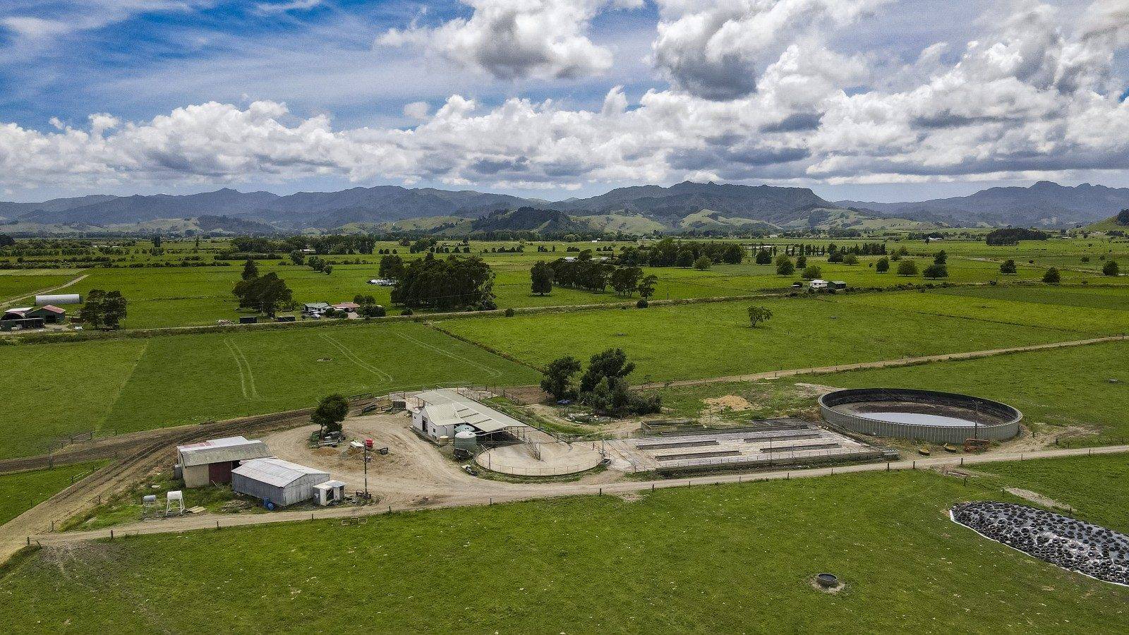 Dairy Farms for Sale