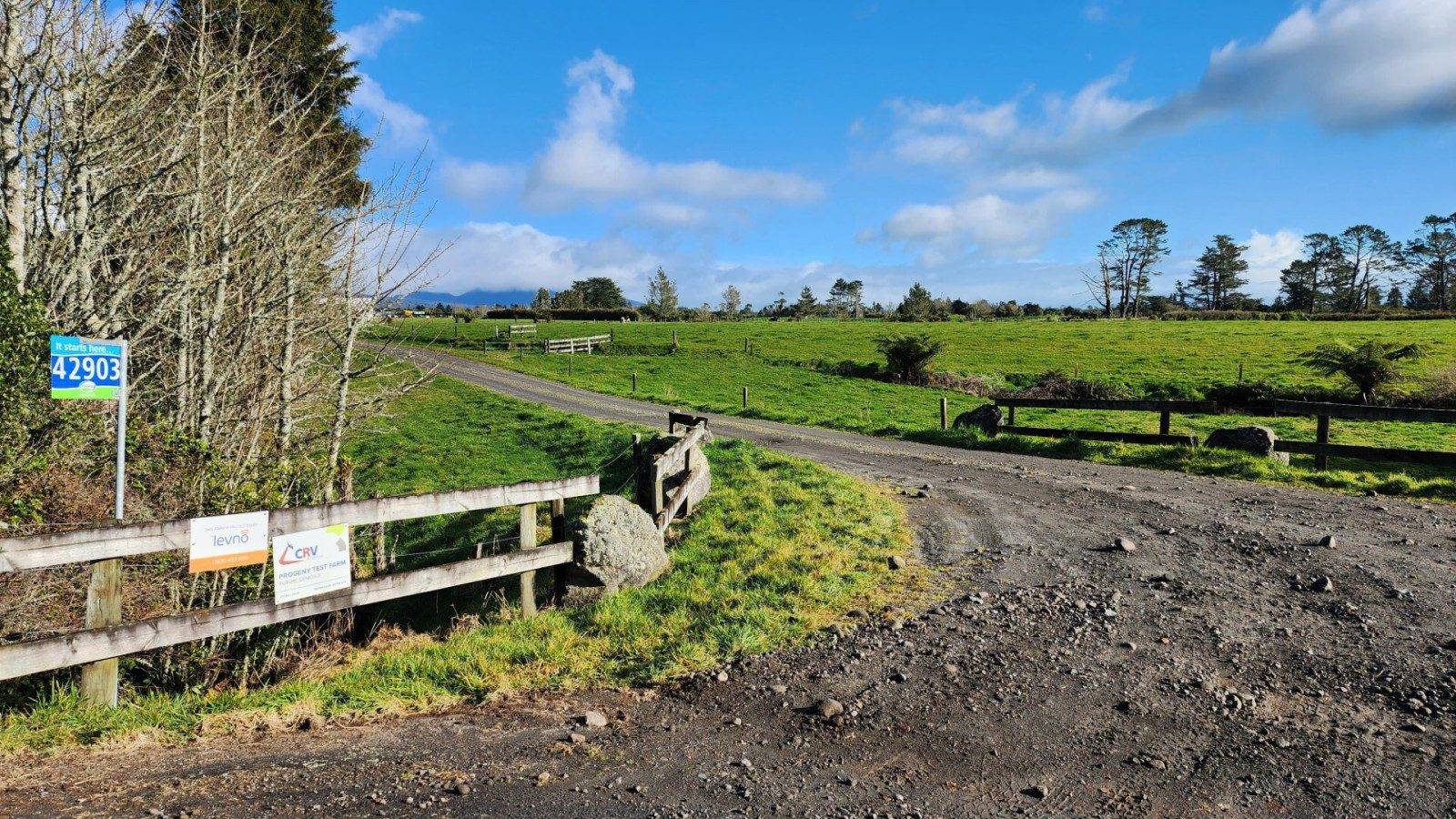 Farms for Sale Taranaki