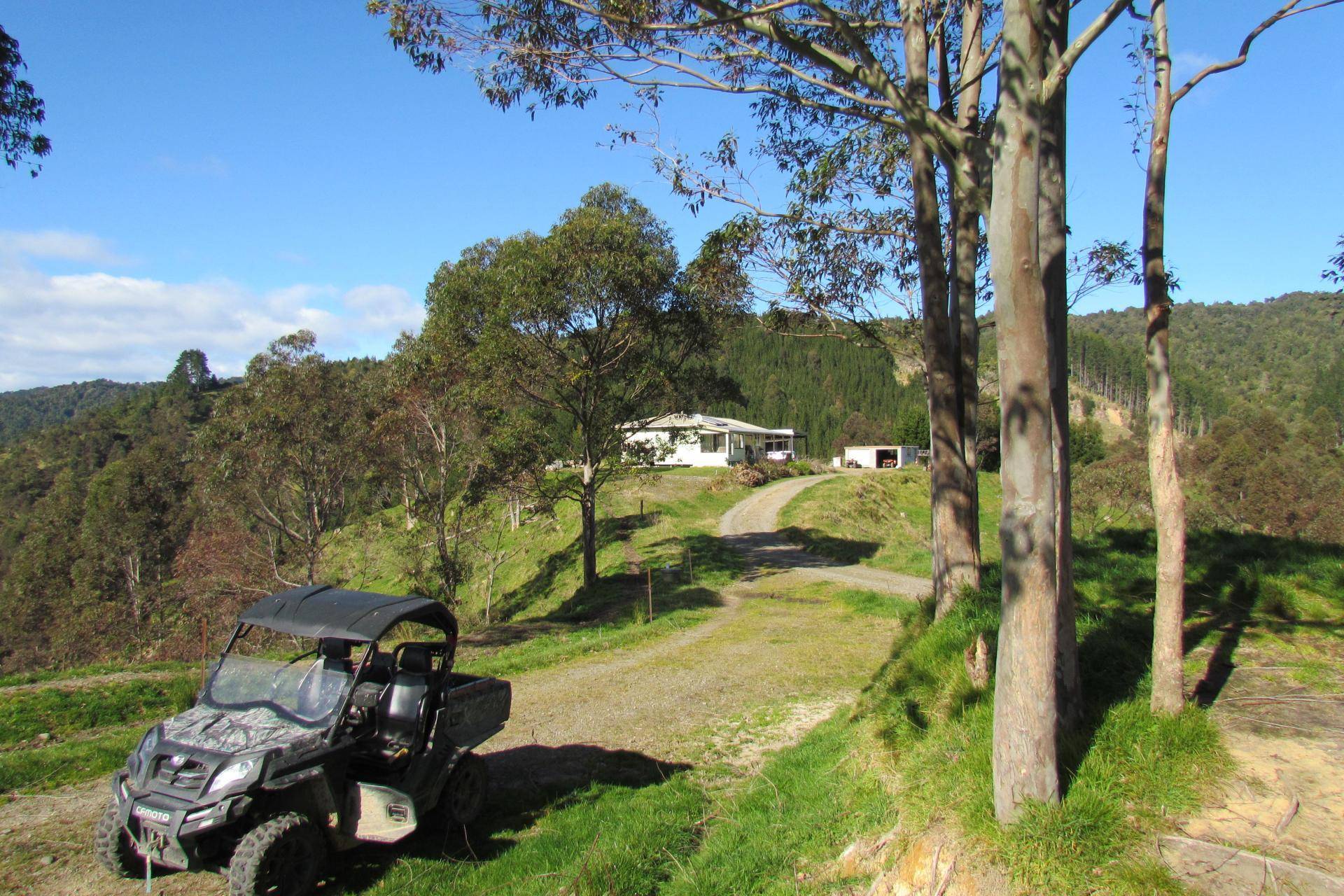 Farms for Sale Bay of Plenty