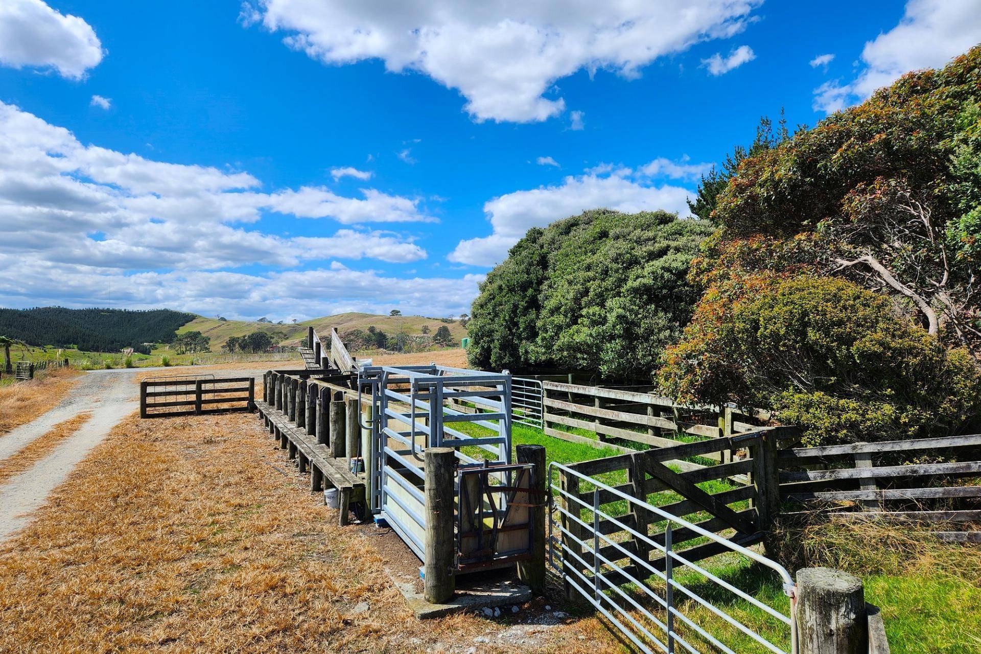 Farms for Sale Northland