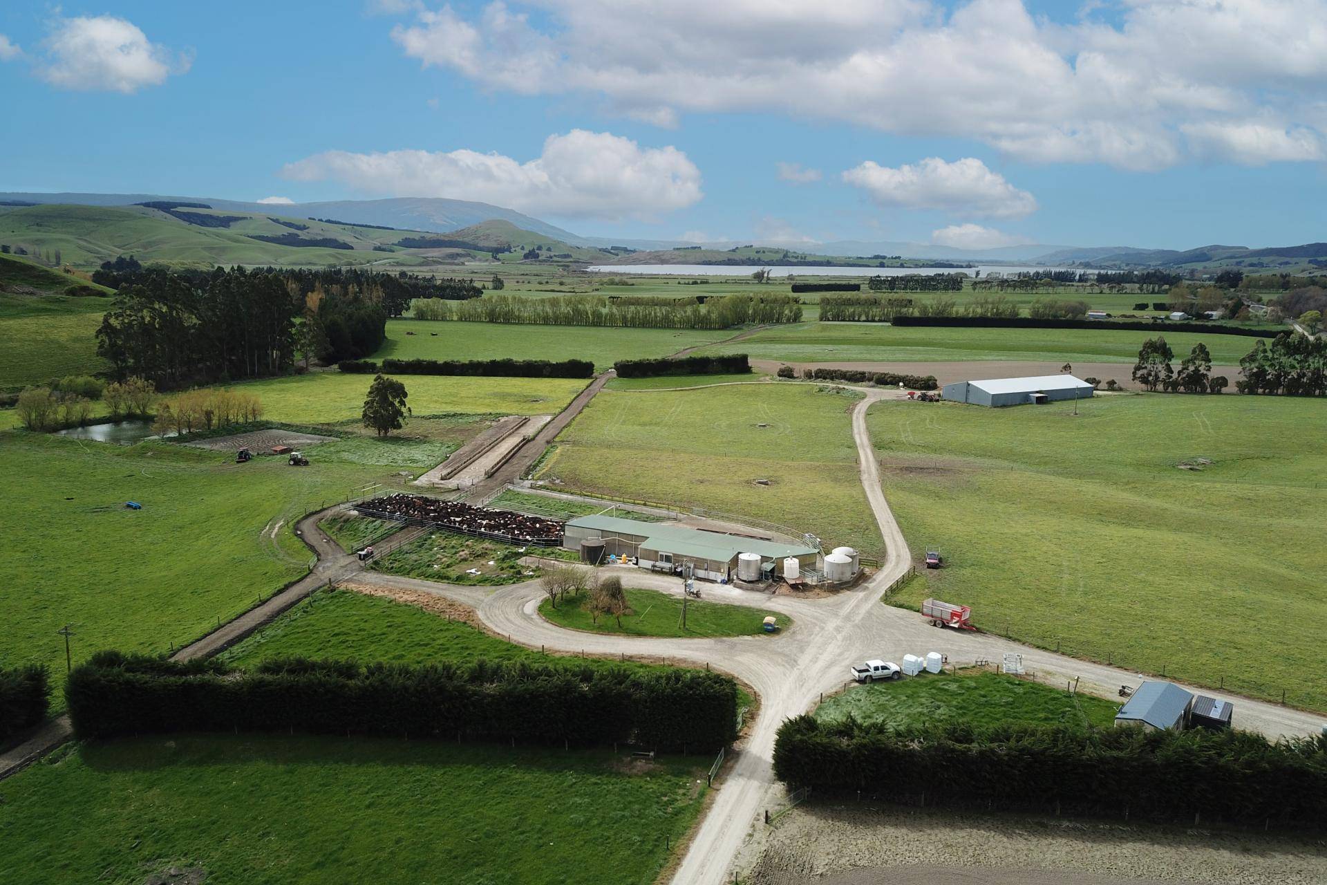 Dairy Farms Otago