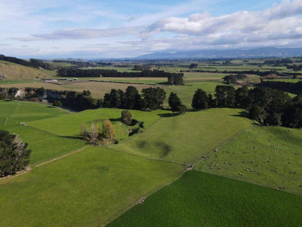 Farms for Sale Manawatu - Whanganui