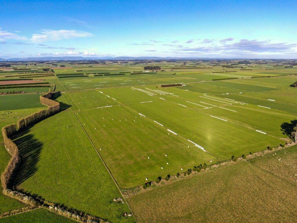 Dairy Farms for Sale Southland 2024 BOP Farms Cropa