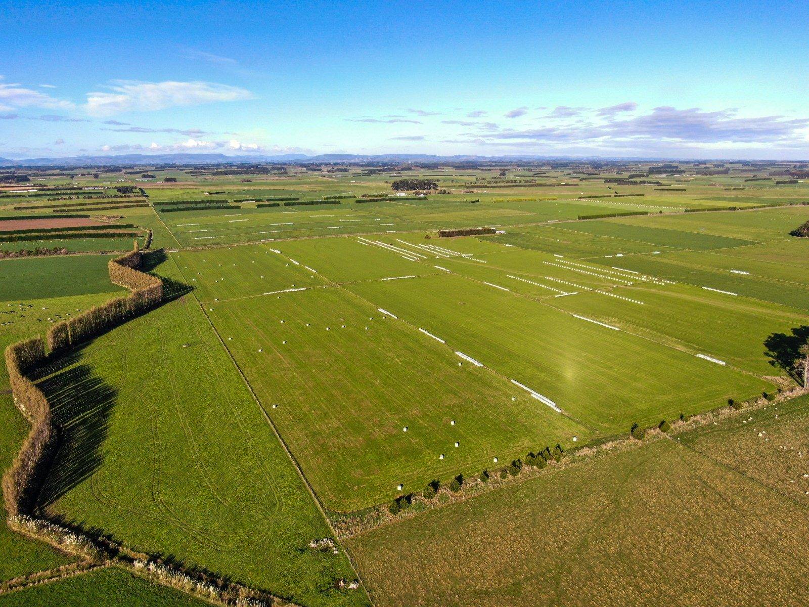 Farms for Sale Southland