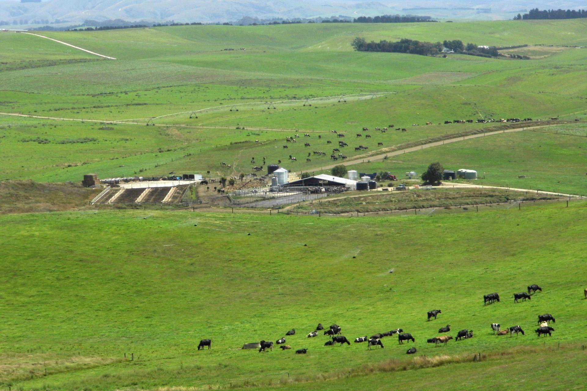 Farms for Sale Otago