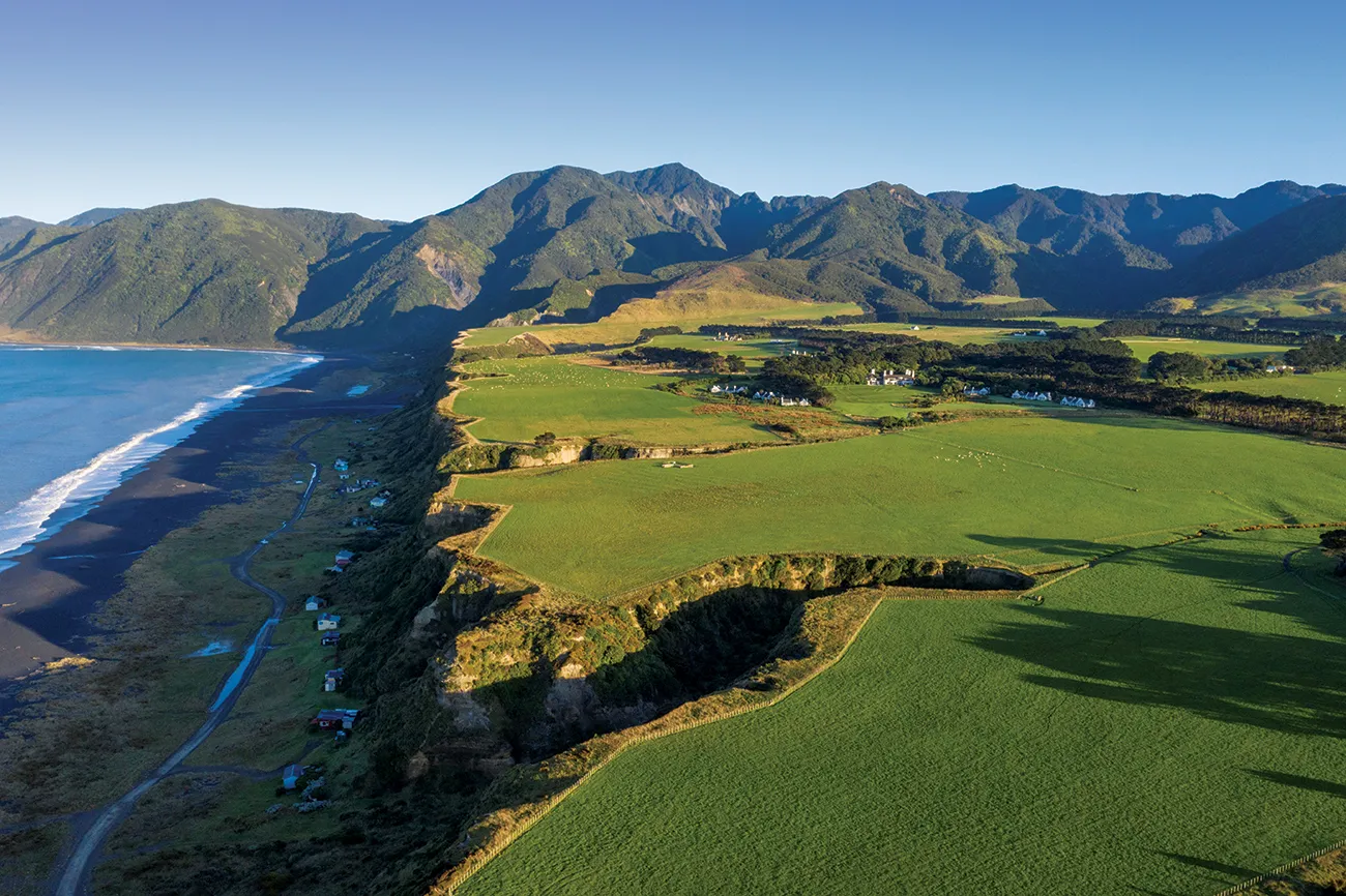 The Best Farms for Sale Wairarapa 2024 Wairarapa Region
