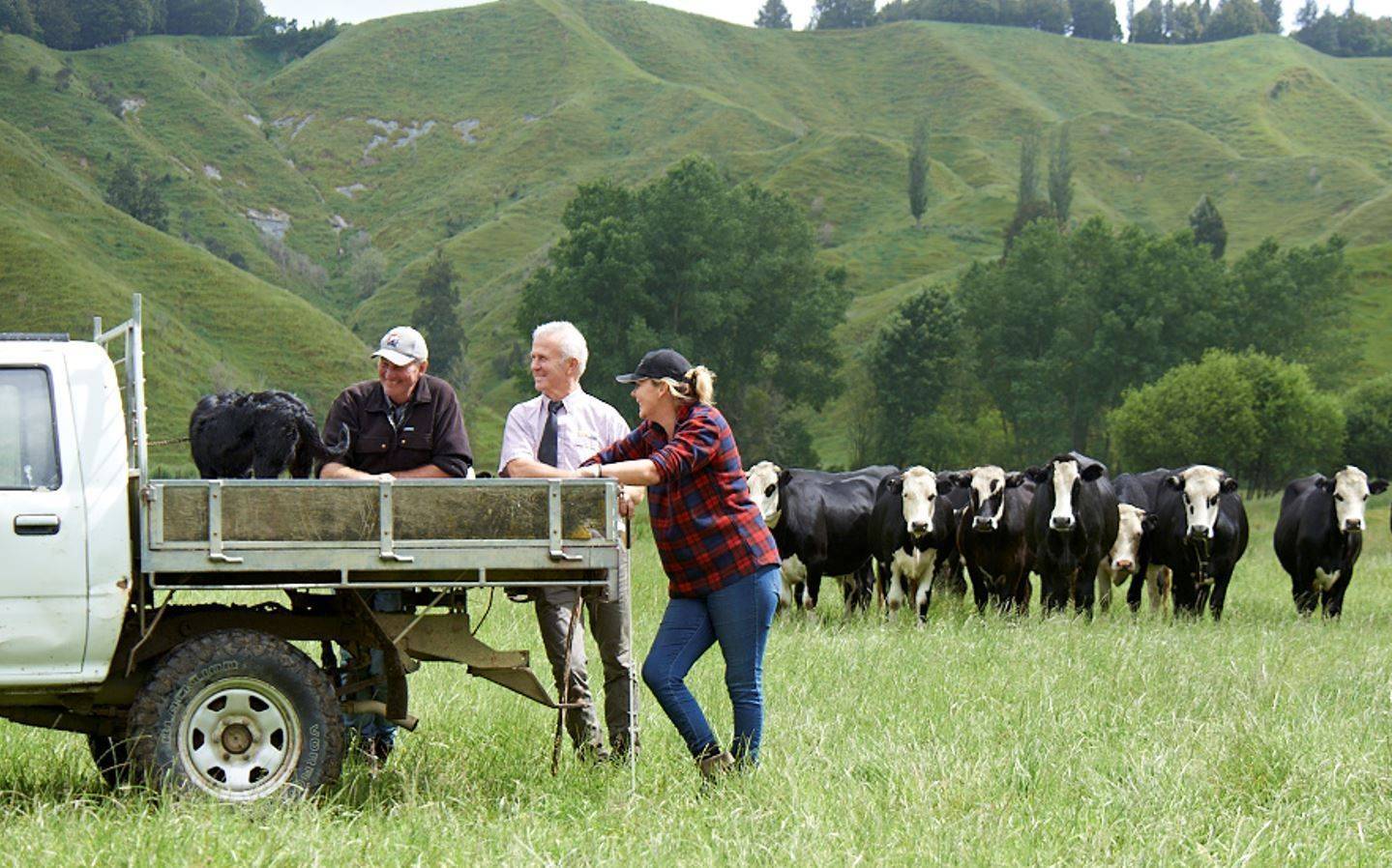 farming news nz