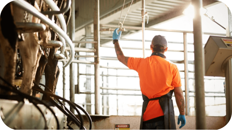 Employee vs Contractor
