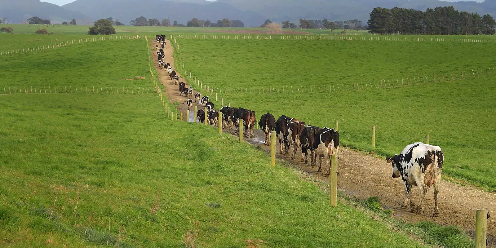 Farm Tracks