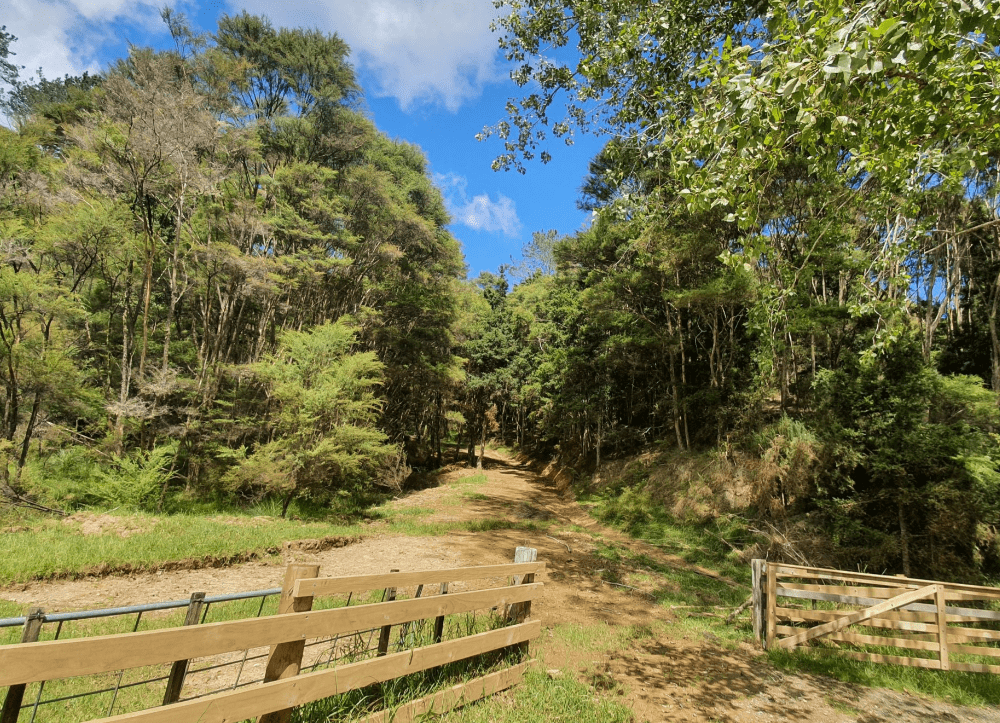 cheap land for sale Northland