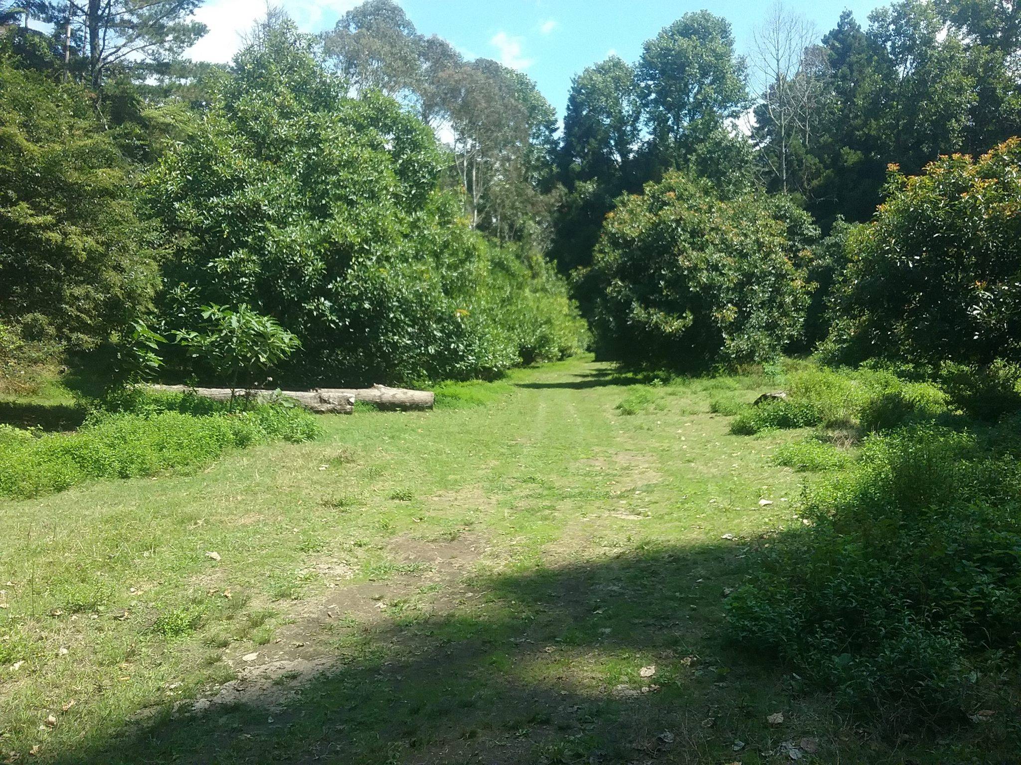 bare land for sale