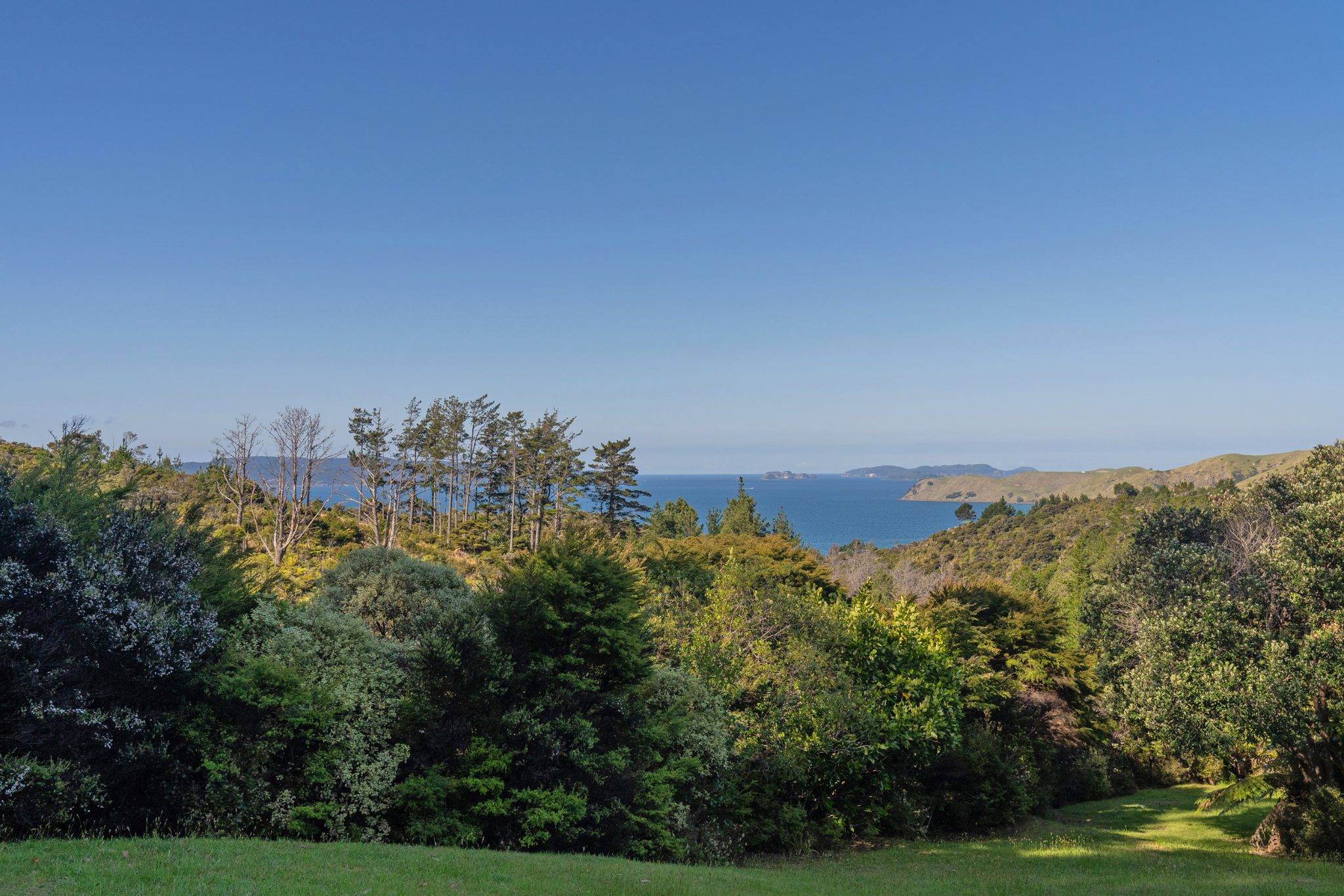 bare land for sale Waikato