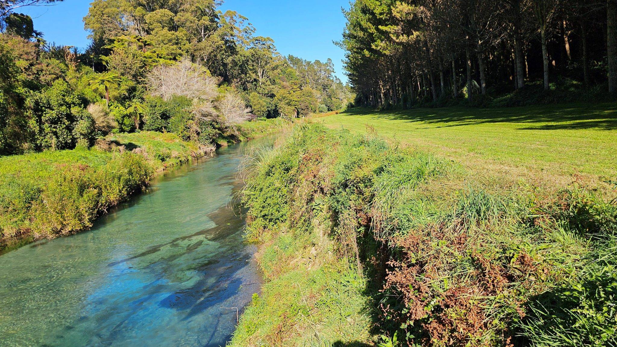 private land for sale Bay of Plenty