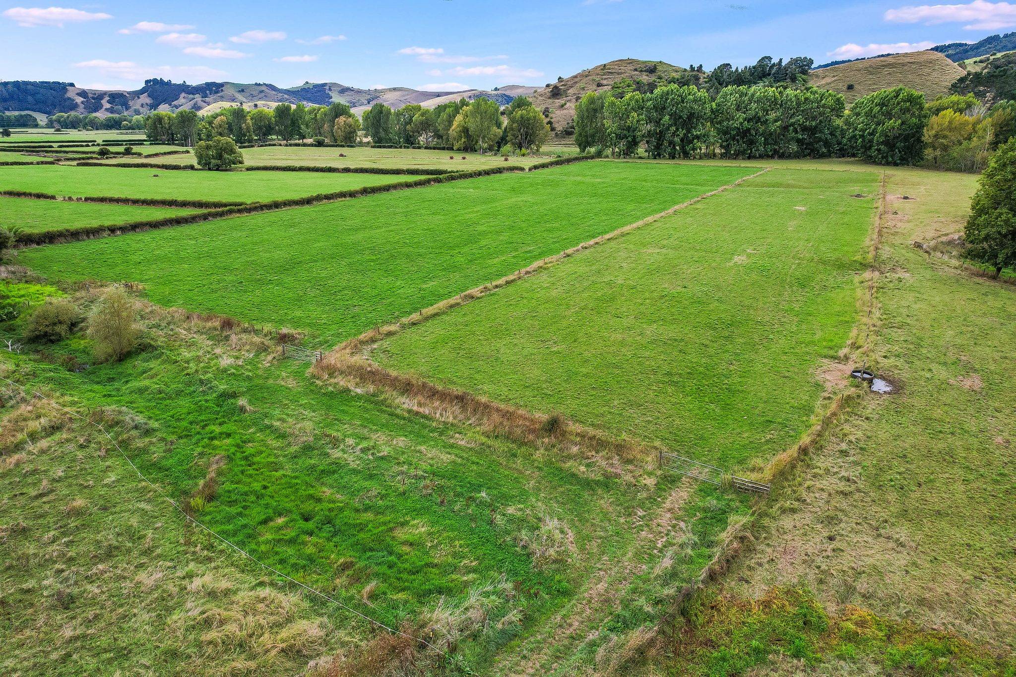bare land for sale Waikato