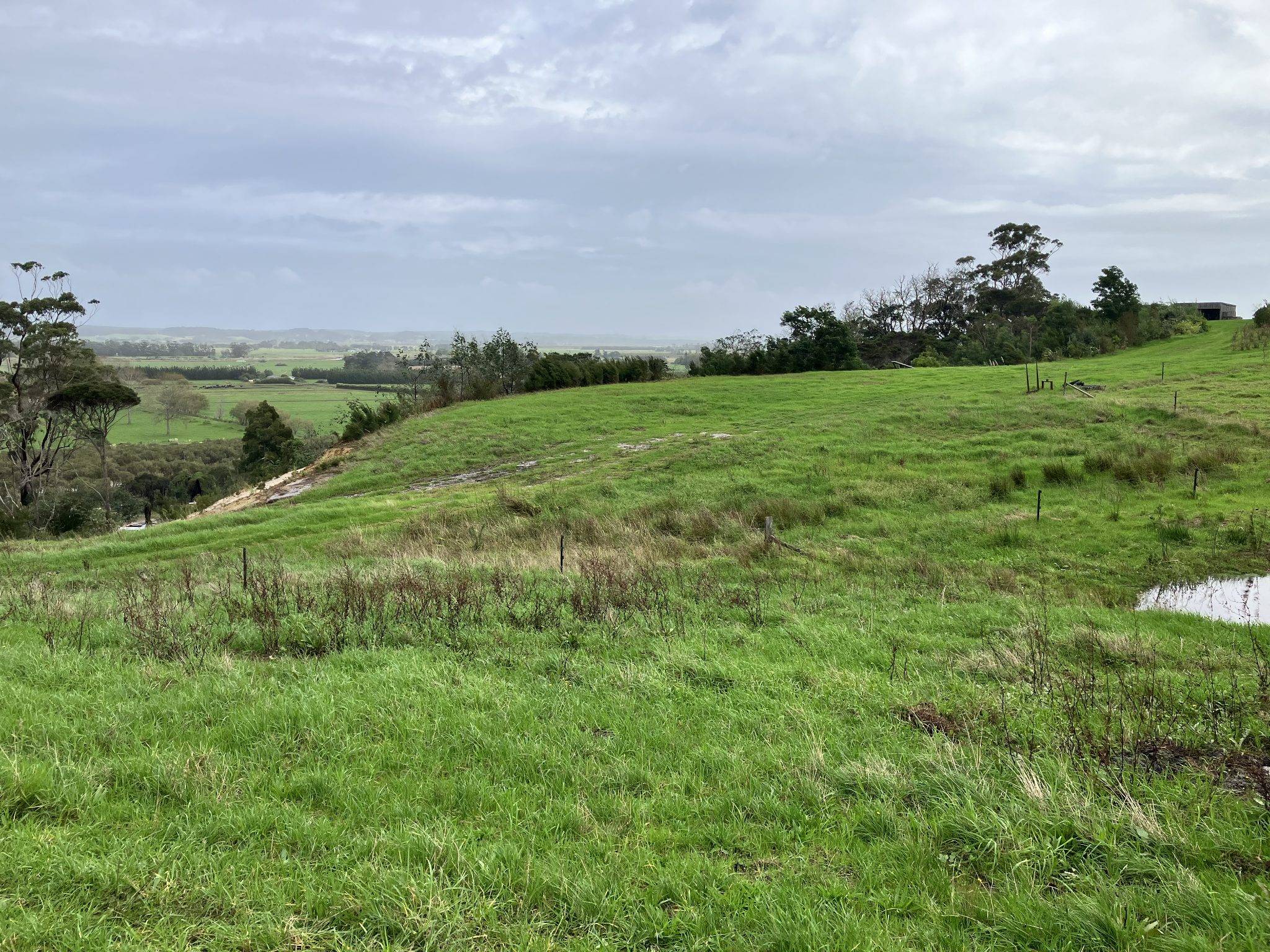 private land for sale Northland