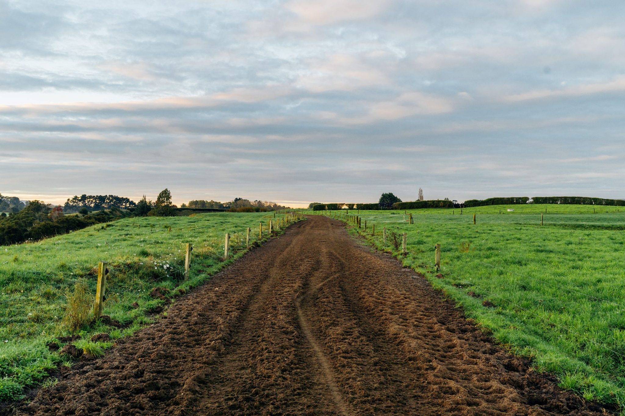 farms for sale Waikato