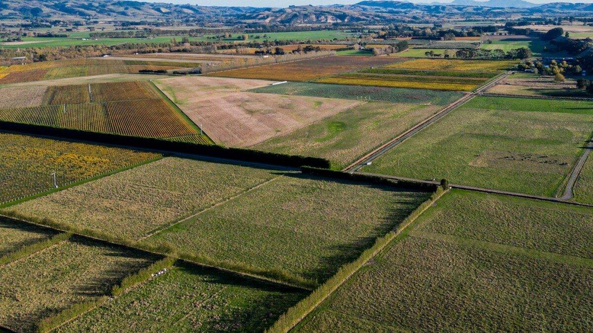 land for sale Wairarapa