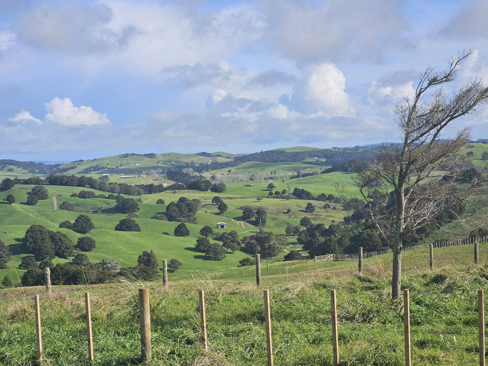 bare land for sale