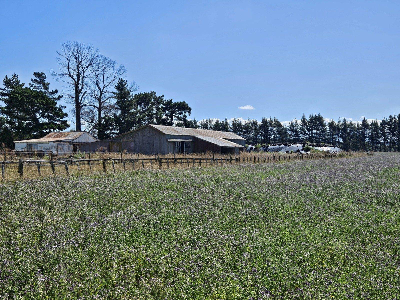cheap land for sale Hawkes Bay