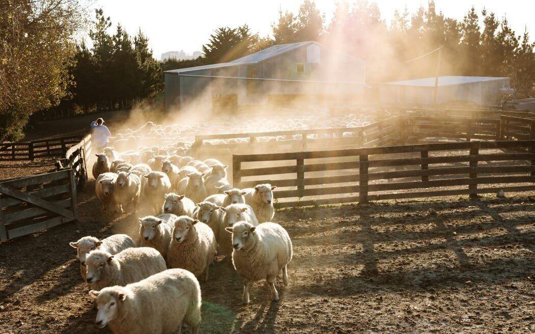 bare land for sale