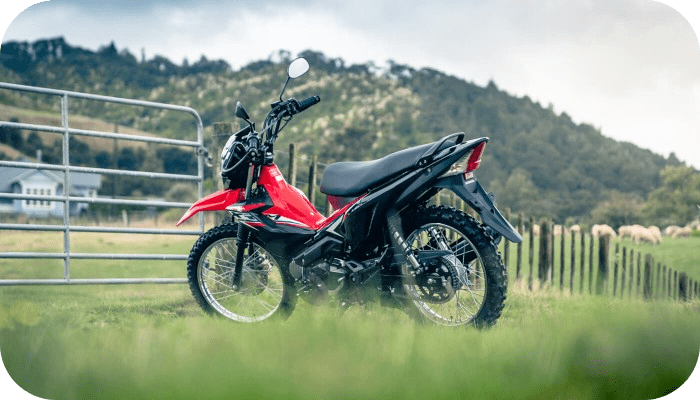 cheap farm bikes nz