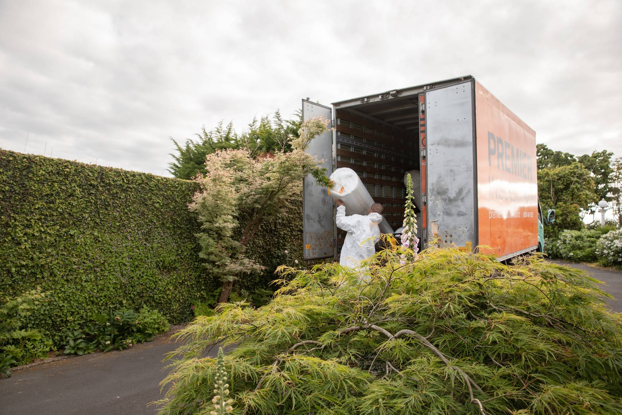 home insulation hamilton nz